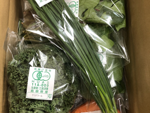 【初回限定BOX】採れたて旬の有機野菜の詰め合わせ（お試し6種）