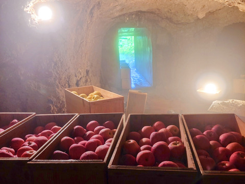 【訳あり】☆農薬不使用りんご☆と特別栽培りんご(品種おまかせ)詰め合わせ3キロ（８〜１２玉）