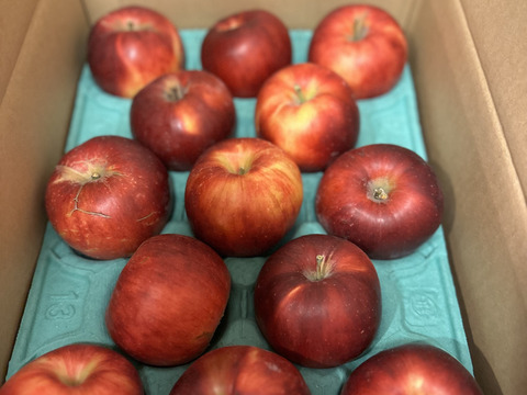 紅玉りんご　訳あり　家庭専用ご好評販売中、2.5キロコースアップルパイにりんごジャムに最適！！