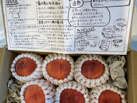 桃　あかつき　良品　約2kg (6個〜9個) 数量限定