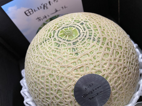 あみぇ〜ろん1玉1.4kg〜（水耕栽培メロン）