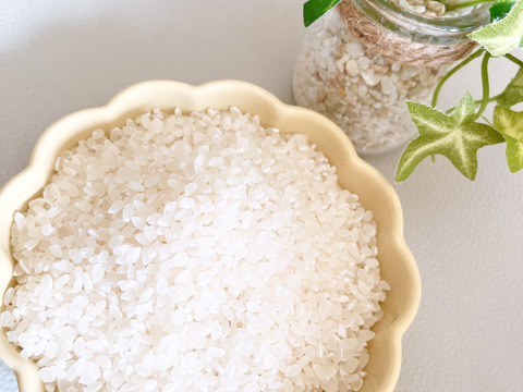 令和7年新米】鳥取県　つむぎfarm 星空舞　 白米 9kg