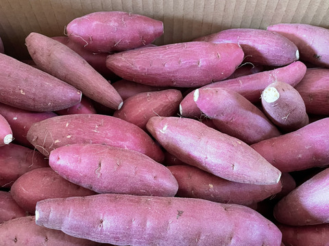 熟成紅はるかの小芋だけ詰込みました。80サイズ箱、約5kg（Mサイズ以下）