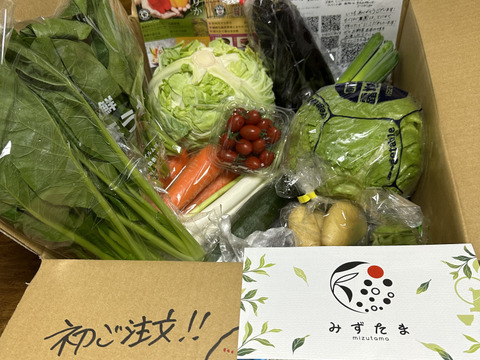 畑から採りたて発送！©静岡厳選野菜セット（12品)（本州の方限定）