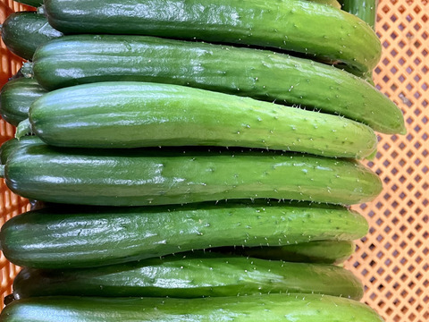 ぎーた様ご注文分