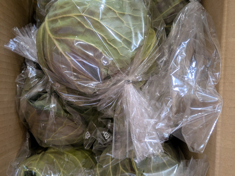 【超期間限定！】大人気♪甘くて柔らかおいしさ感動級♪「グリーンボール」3玉