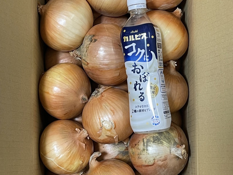【大玉/10kg】淡路島産たまねぎ 特別栽培 兵庫県認証食品