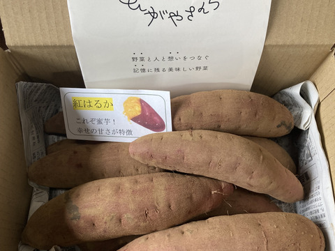 食べチョクアワード入賞🎖️土付き紅はるかS〜Mサイズ混合2kg