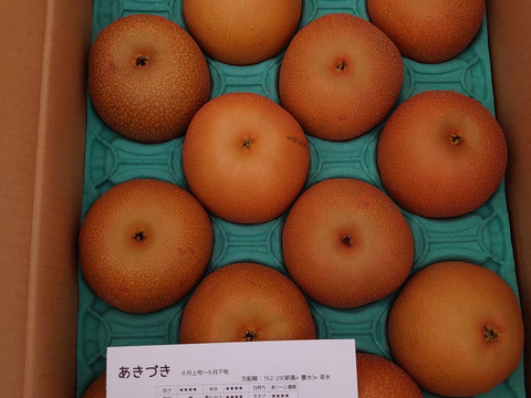 秋の贈り物🌕　千葉県産【あきづき】5㎏　家庭用『9～16玉入』市川のなし