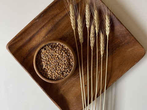 【小麦農家の朝食パン】バラエティ食パン４本！週１パンセット