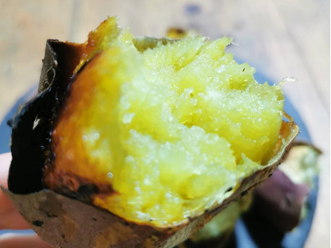 五島直送！潮風 × 火山灰土が育てた熟成島さつまいも『紅はるか』５kg