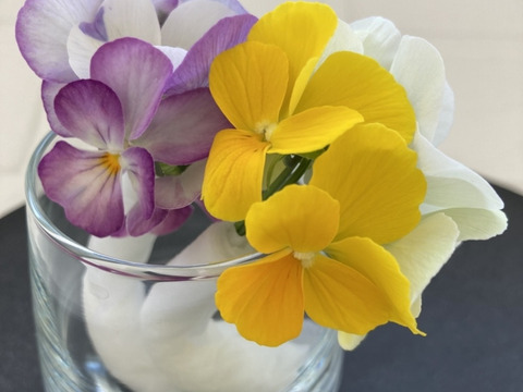 数量限定‼　チャービル2ｇ+エディブルフラワーMIX10輪 セット