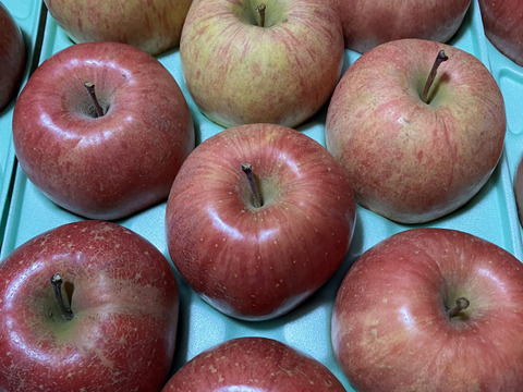 2箱3キロ9-13玉入×2箱　樹上完熟葉取らずサンふじ　農薬半減栽培で安心安全！