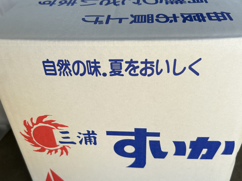 金色羅皇（こんじきらおう）7〜8kg