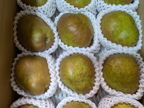 家庭用　ラ・フランス　2.5kg