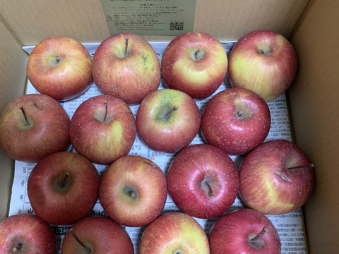 【毎日の食卓に】生食もOK！加工用サンふじ10キロ【葉とらず】JA基準より60％減の低農薬栽培