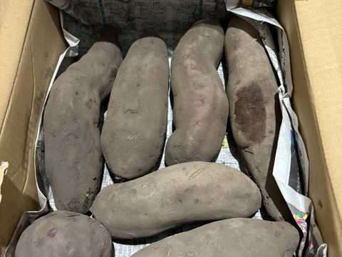【栽培期間中　農薬不使用】和食だけでなくおやつにも合う正統派！紅あずま　2kg