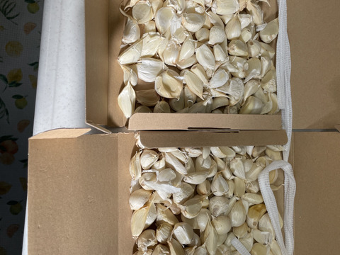 【わけあり品・数量限定】青森県産ホワイト六片種にんにく バラ 1kg(500g×2箱)【小粒のみ】