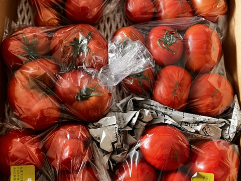 牛となかま☆【加熱調理で旨味抜群！牛の心臓1kg】と【アルテトマトなかま2kg】のセット☆【トマト食べ比べ】