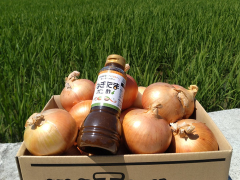 淡路島玉ねぎ2.5kg＆ねぎたまポン酢