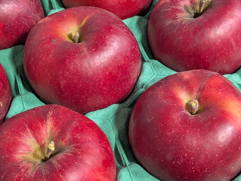 完熟紅玉　約2.7kg