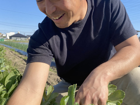 【数量限定】最旬の1品おまけ付！農薬不使用野菜セット(9品)/レシピ付き