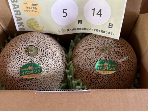 【糖度満点イバラキング】                                   口の中でとろけて飲める果実🍈