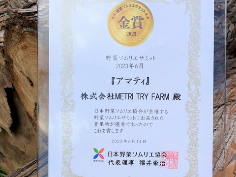 【野菜ソムリエサミット金賞受賞】フルーツトマト『アマティ』1kg（250gx4p）