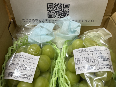 【朝どれ】【9月からお届け:1kg以上！】シャインマスカット 1kg箱