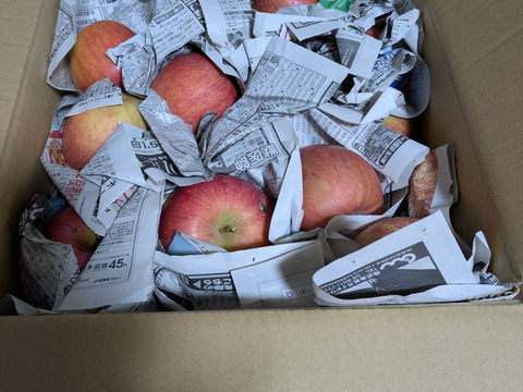 『訳あり りんご』サンふじ　りんご　10kg