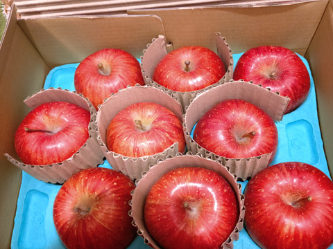 【蜜入保証】【サンふじ】（2kg・9～10個入り）パリパリ・ジューシーお得な家庭用