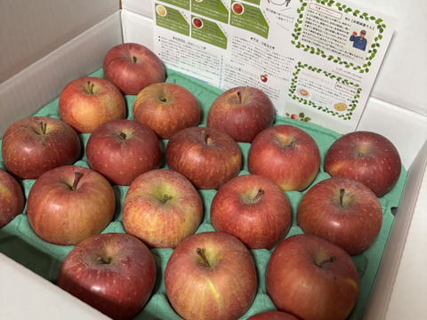 【スマートフレッシュりんご】木成り完熟「サンふじ家庭用5ｋｇ」