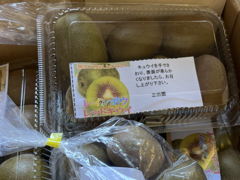 【数量限定】希少品種！極甘🥝レインボーレッド🥝２ｋｇ大玉
三田農園 贅沢な果実シリーズ