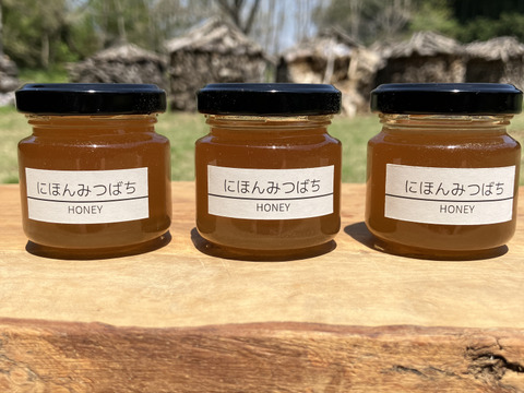 富士山麓の「にほんみつばち」HONEY 天然はちみつ 50g×3本セット