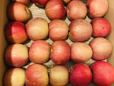 【予約開始！人気商品】旬の甘〜い葉取らずサンふじ24~27個入り【ご家庭用・5kg以上】