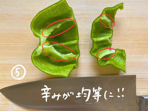 10/31締切‼︎甘くて辛い！長野・信州の伝統野菜ぼたんこしょう（１ｋｇ  約１５〜２０個）