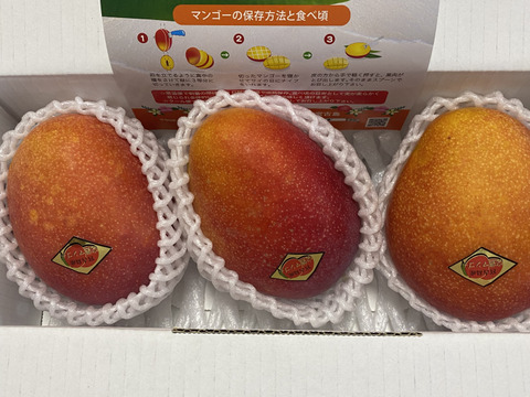10箱限定】宮古島産完熟マンゴー4kg(9〜12個)