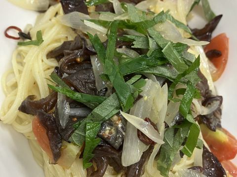 今が旬！希少な生キクラゲ【有機JAS認証取得】100g×４袋