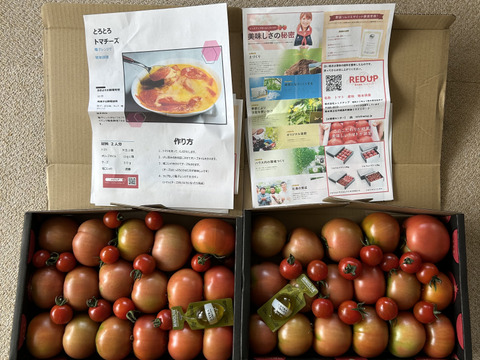 予約1月下旬から予約順で発送【特別栽培農産物の取得】＼訳あり／受賞歴３回！ソムリエトマト2kg前後（8玉～16玉) ②のオマケ❗️ソムリエミニトマト　ダイヤ【食べ比べ】