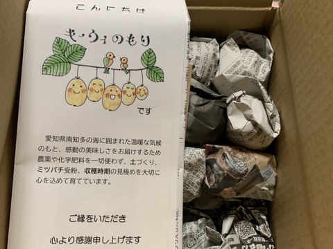 10%増量中！【訳あり】自然栽培びわ 1kg +100g