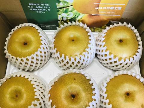 大豊作300円引き‼️【完熟豊水梨】贈答用約2.2kg(4~7個)  ✨味が濃く甘くてジューシー‼️まるで梨ジュース🍐ひとつひとつ色付きを確かめ樹上完熟で収穫😋ほぼほぼ果汁です💦