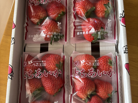 (4P)約1kg【いちご・とちあいか】実がしっかりして酸味が少なく甘さが際立つ新品種★「とちあいか」(４パックx260g) 栃木県産いちご●一番人気いちごセット●お届け日指定可