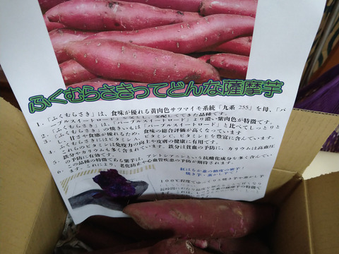 【期間限定】あま〜い紫芋！『ふくむらさき』（2kg）L〜Mサイズ