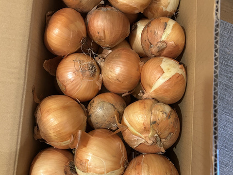少し訳あり「あま〜くて」美味しい淡路島玉ねぎ　10kg
