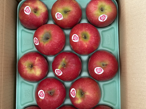 【希少品種】ピンクレディー®3kg箱｜春もシャキッと、香り華やぐ甘酸っぱさ