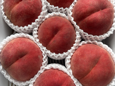 ☆30日まで☆【ｶﾘｶﾘ!🐹】🍑美晴白桃 3キロ 🍑【硬すぎ桃】【硬め