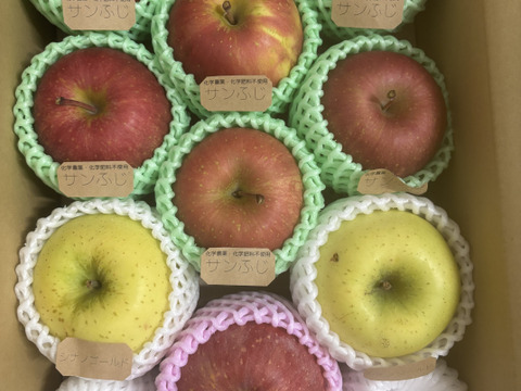 ☆農薬不使用りんご☆と特別栽培りんご(品種おまかせ)詰め合わせ3キロ（８〜１２玉）