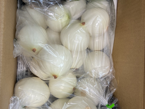 大好評，地層が違う淡路島、七宝むき玉ねぎ(風袋込み３キロ)