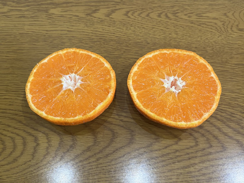 甘くて濃厚な津之輝　Ｌと2Lサイズ の混合　５キロ