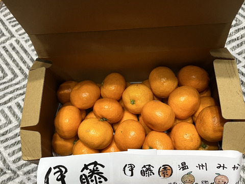 黄金みかんの宝箱2kg 糖度13度以上　有田みかん